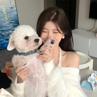蝴蝶不说话