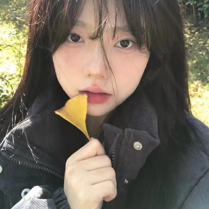 时光碎片
