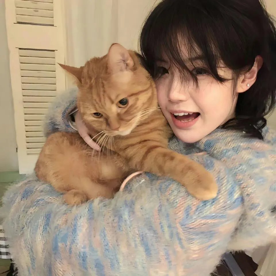 客人变成猪